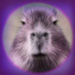 Capybara Club <3