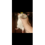 .-.aesthetic.-.