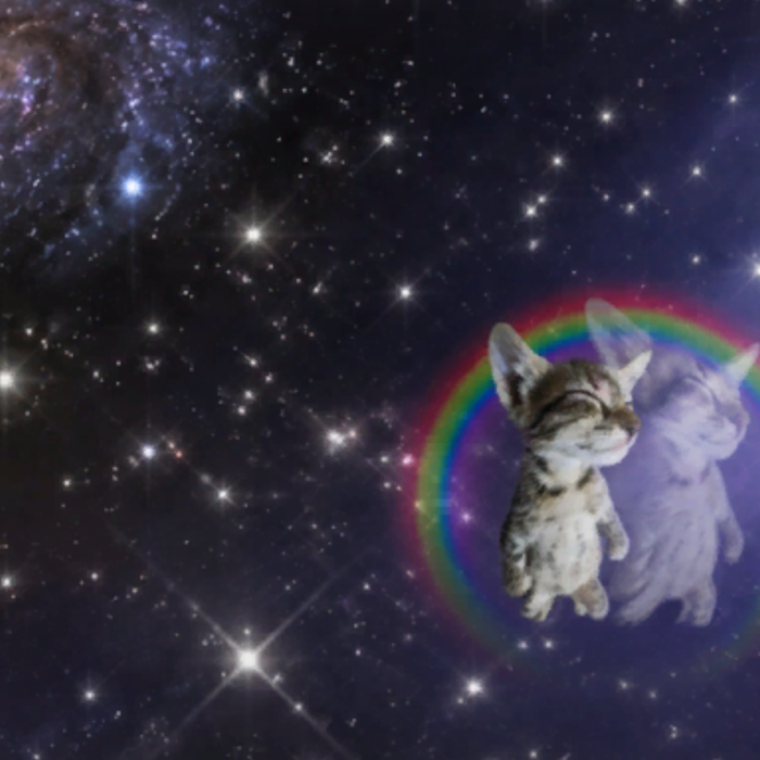 Cute Cat Rainbow Galaxy Ethereal Space Background