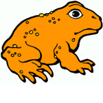 The Orange Toad Syndicate