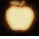 Golden Apple Guild