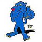Boise Badgers Basketball