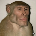 RenaStudios