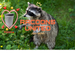 Raccoons Uniting