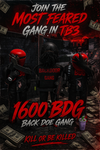 BackDoorBDGang