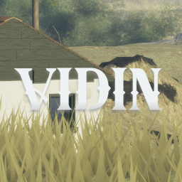 Vidin