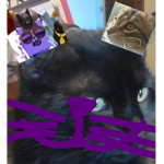 THEKITTYSHIP