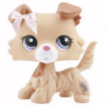 fukomotu