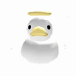 Ducky land