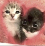 emi & lizi