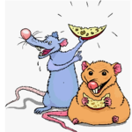 BIG RAT=BIG CHEESE