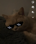 Clara-Katze