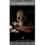 Skeleton official