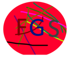 FGstudios "/caftaf fan group and game and cloths m