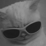 C 0 R P 3 S 3