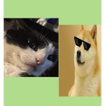 Doge and Oreo the Cat Fans