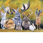 ~Jackalope kingdom~