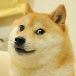 The Doge Backrooms