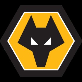 Wolves Pitch  (cant add stadium dk why)