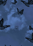 butterfly’s clothing group