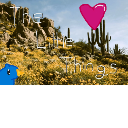 🌻 The little things.🌳