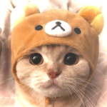 *+Oshi no ko+*