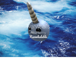 Narwhal Academy Training Facility 1