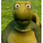 shocked turtel