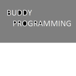 Buddy Programming