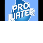 The Awesome Pro Club