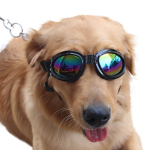 Poochy Wit Da Shades
