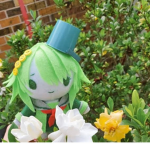 | ! Kanna Ki zu ch i Fan Group ! |