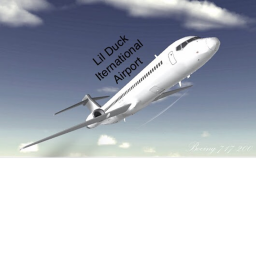 Little Duck International