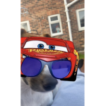 drip sq