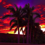 aloha..