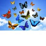 La Famille des Papillons