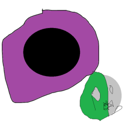 flag EVENT