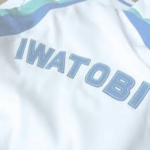IWATOBI