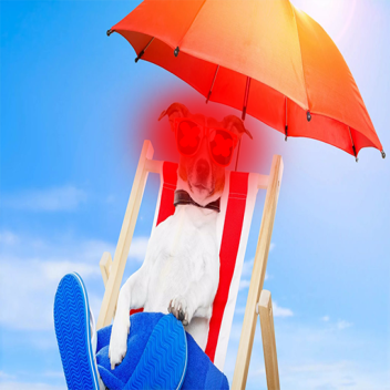 САМАЯ СТРАШНАЯ ИГРА