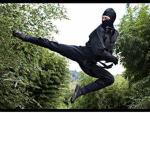 The Ultimate Ninja Gang
