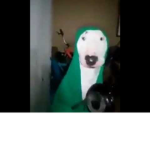 Grupo dos Amigos:3