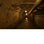 Wishes Basement