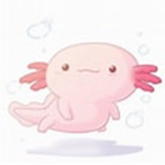 the axolotl group !