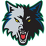 Minnesota Timberwolves Basketball Team