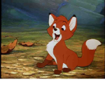 Fox plays fan group