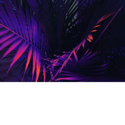 vibe con