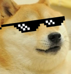DOGEANOTORS