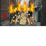 The Doge Cultists