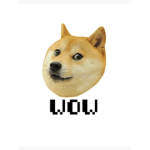 Doge united owned by Amberlincoln
