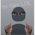 Lilly Gaming Roblox